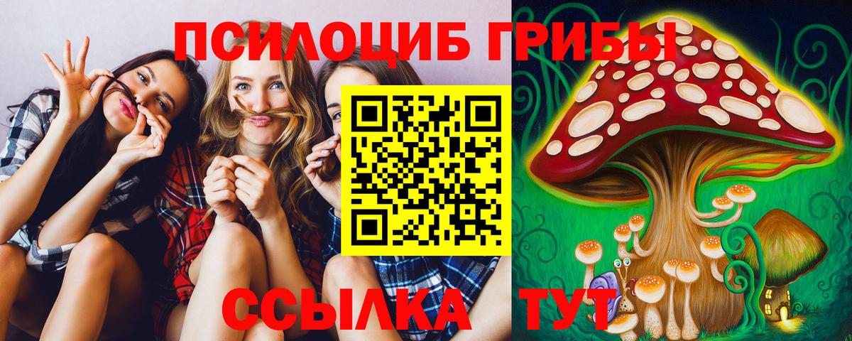 где купить   Вход с VPN  Псилоцибиновые грибы MAGIC MUSHROOMS  Нерюнгри  Псилоцибиновые грибы MAGIC MUSHROOMS 